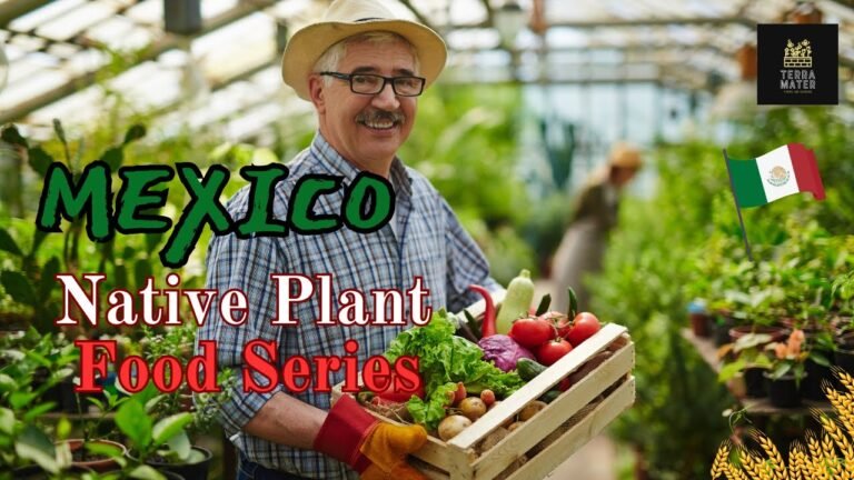 Mexican Food traditional Mexican cuisine