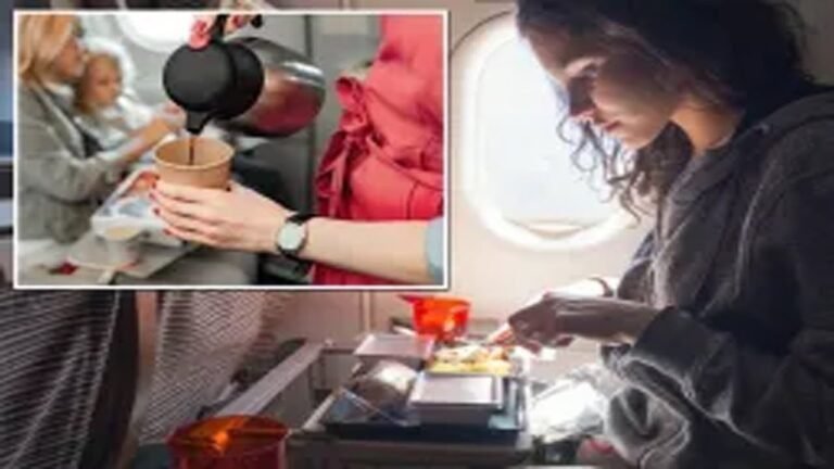 Airplane travel: In-Flight Meals