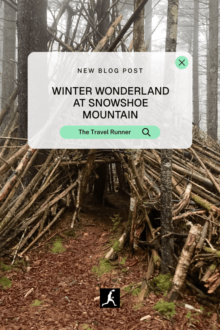 Winter Wonderland at Snowshoe Mountain