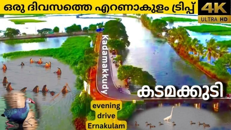 Island travel: Birdwatching