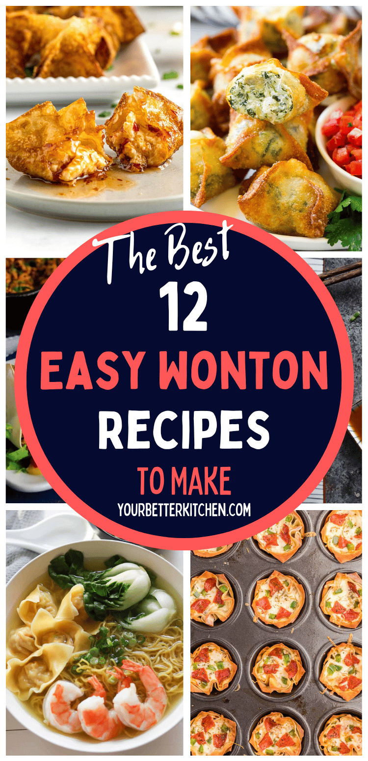 12 Easy & Tasty Wonton Recipes