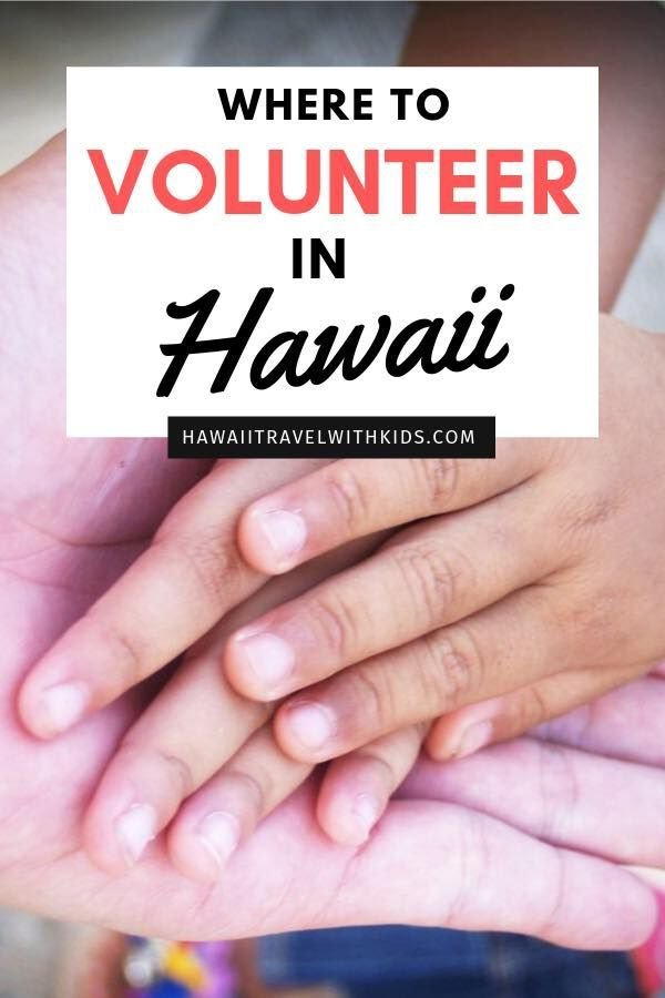 16 Volunteer Opportunities in Hawaii | Hawaii Travel with Kids