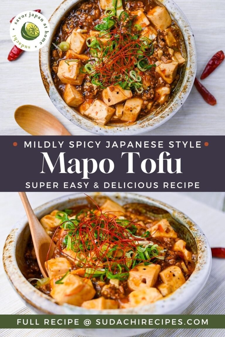 30 minute Japanese Style Mapo Tofu (Spicy Tofu)