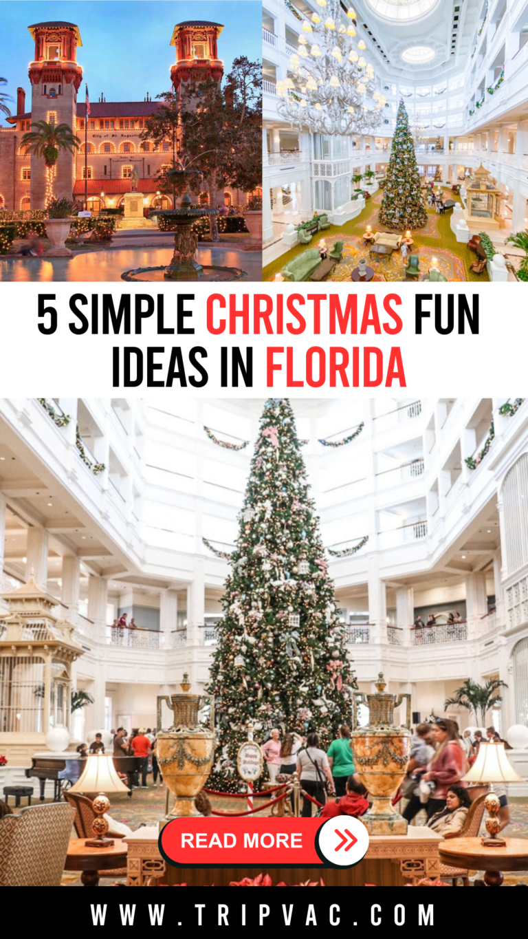 5 Simple Christmas Fun Ideas in Florida