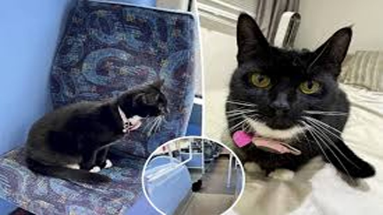 Train travel: Train Tours