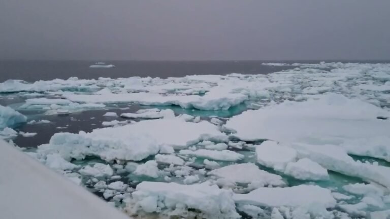 Ship travel: Expedition Cruises