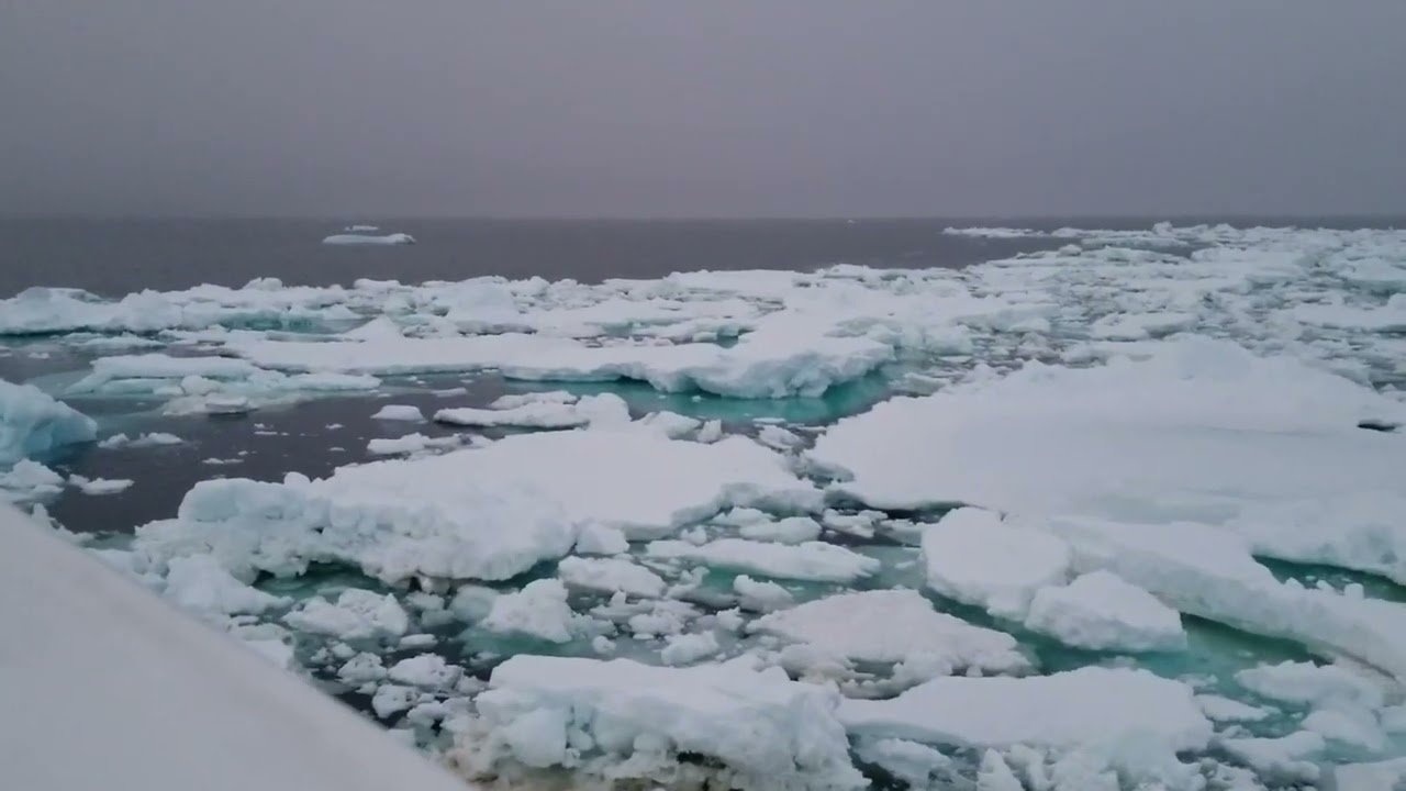 Ship travel: Expedition Cruises