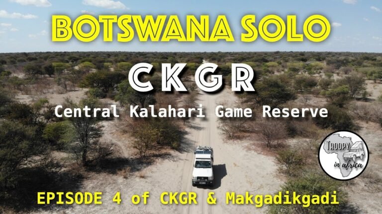 Road trip Food stops on road trips