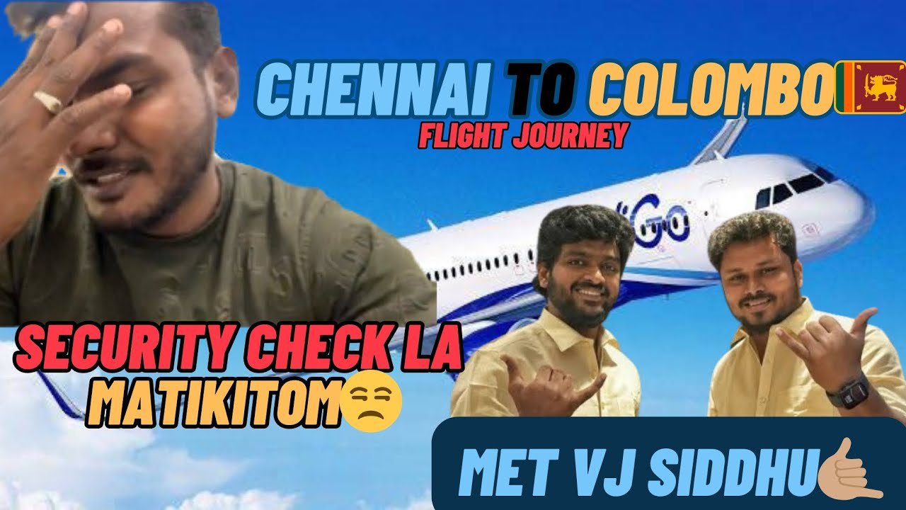 Airplane travel: Airport Security