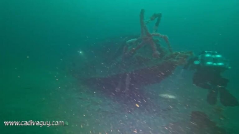 Island travel: Coral Reefs