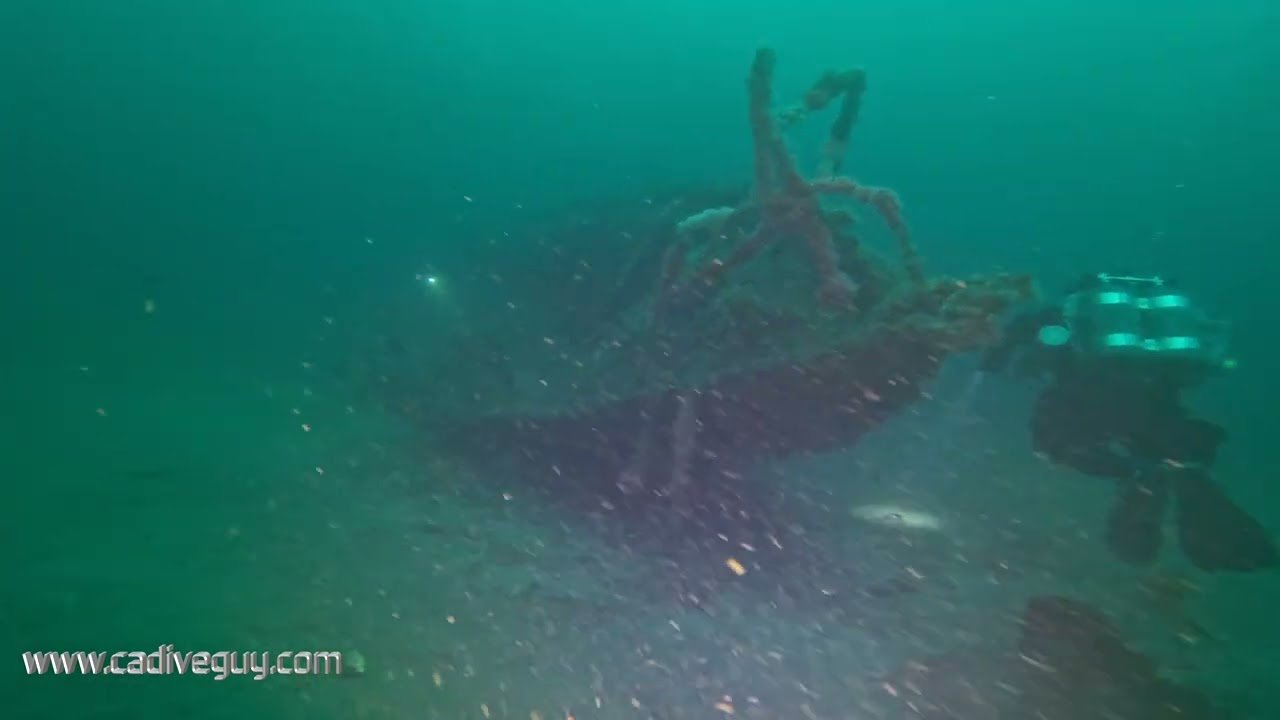 Island travel: Coral Reefs