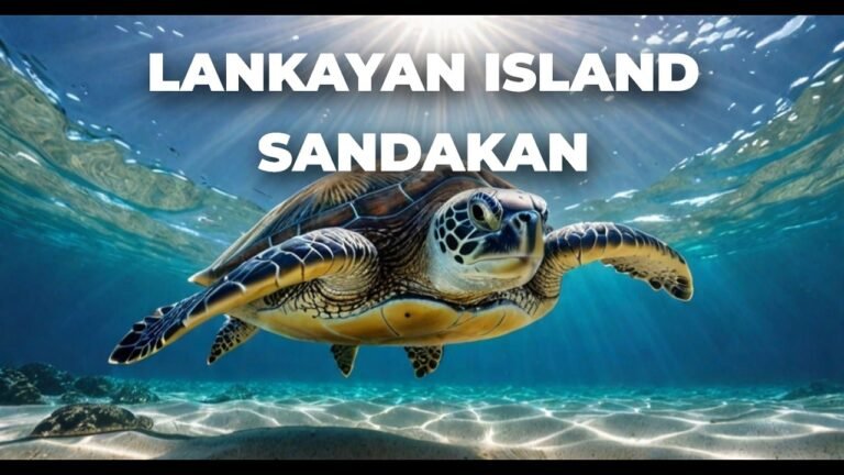 Island travel: Marine Life