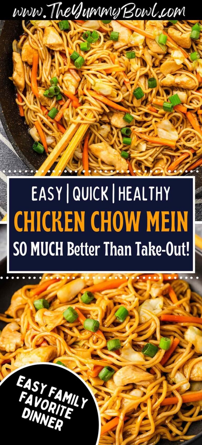EASY Chicken Chow Mein Recipe
