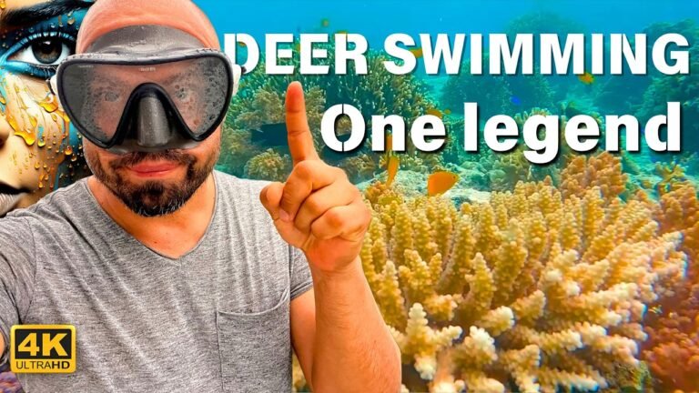 Island travel: Marine Life