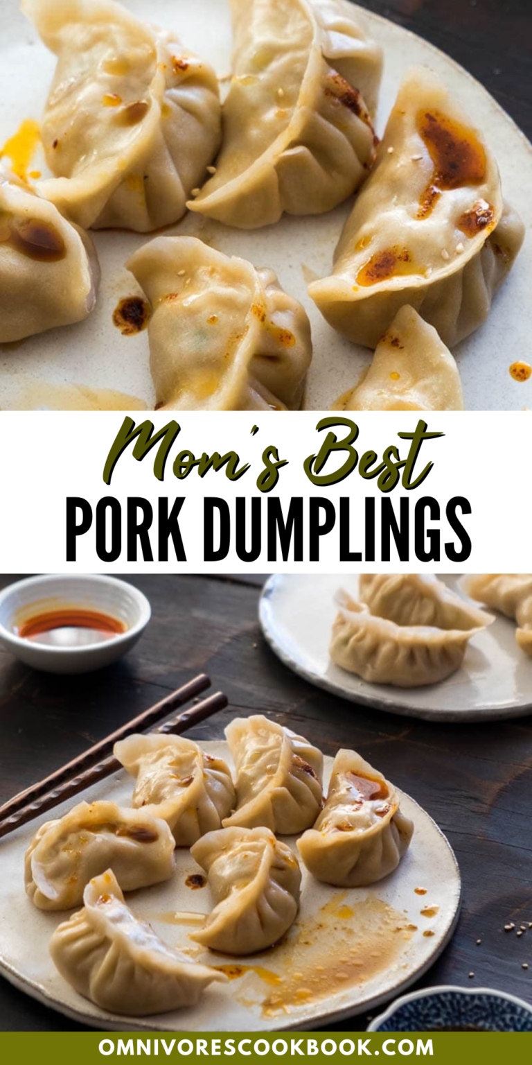 Mom's Best Pork Dumplings recipe