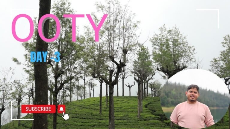 Road trip Foodie road trip destinations