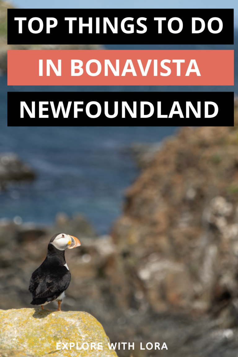 Top Things to do in Bonavista Newfoundland