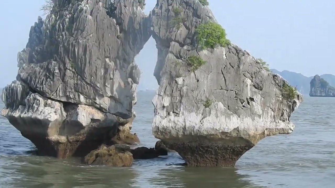 Airplane travel: Family Travel