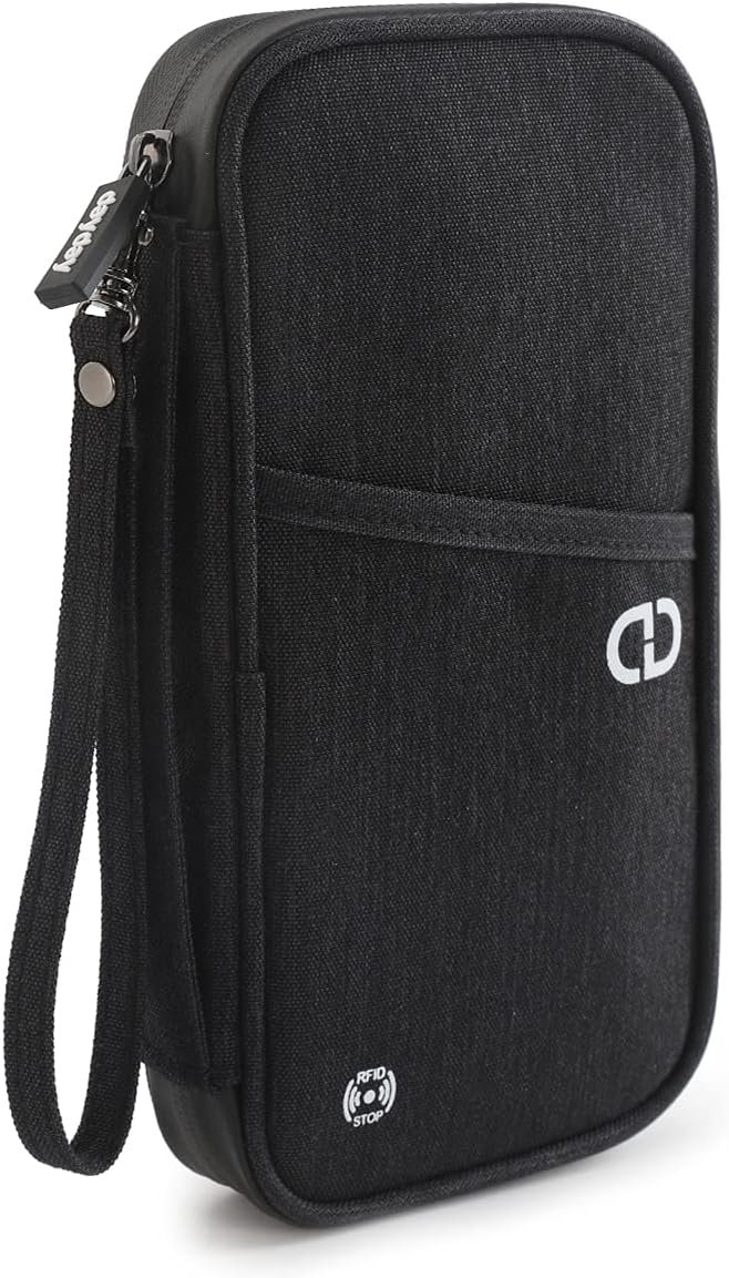 Travel document organizer