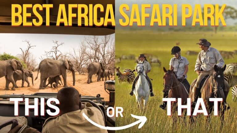 10 Best Safari Parks in Africa for an