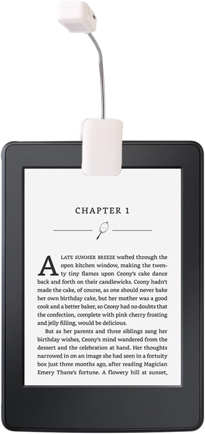 Kindle reading light