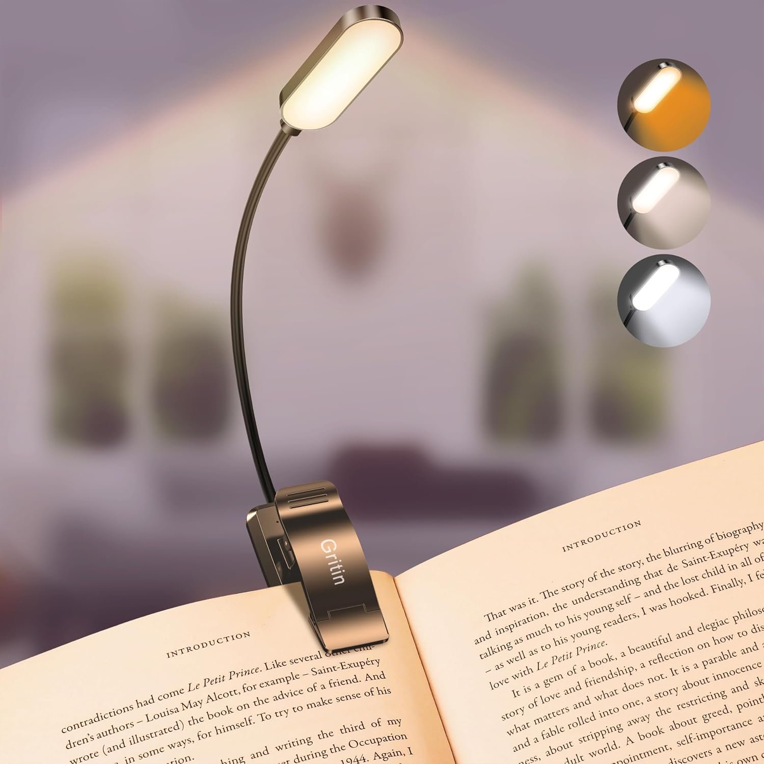 Kindle reading light