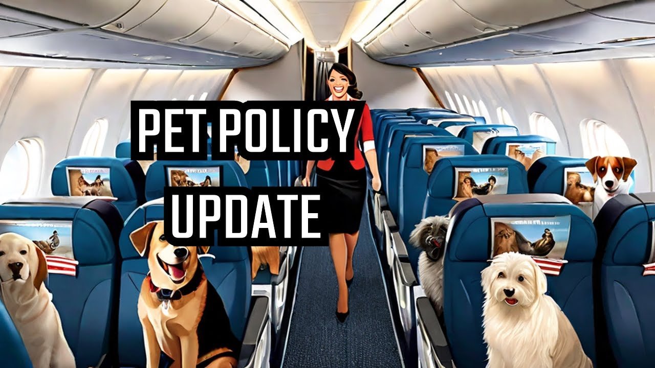Airplane travel: Pet Travel
