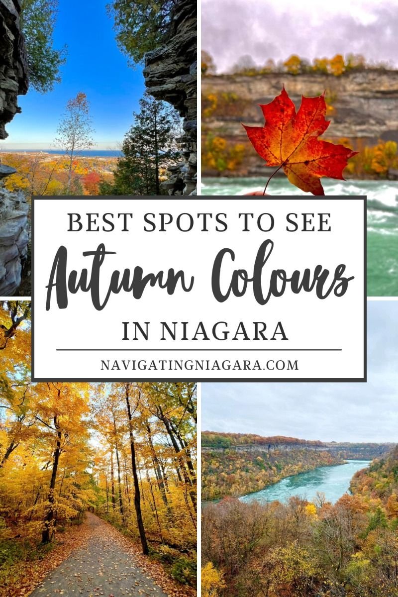 Best Spots to See the Autumn Colours in Niagara