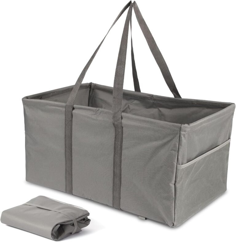 Collapsible tote bag for excursions