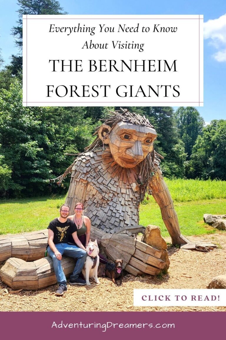 Everything You Need to Know About Visiting the Bernheim Forest Giants