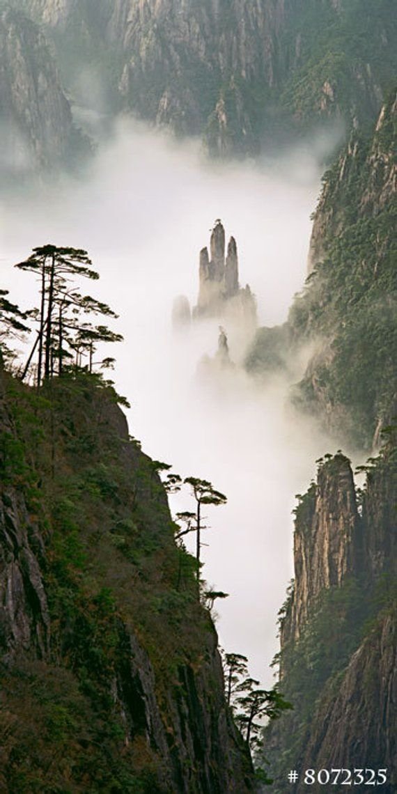 Huangshan (Yellow Mountain) National Park, China. Nature Landscape film photography
