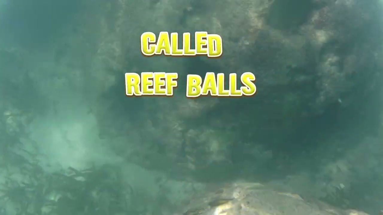 Ship travel: Cruise Ports of Call