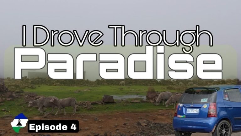 solo travel: Solo Road Trips