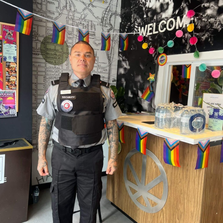 Security Measures in Multicultural Festivals and Events