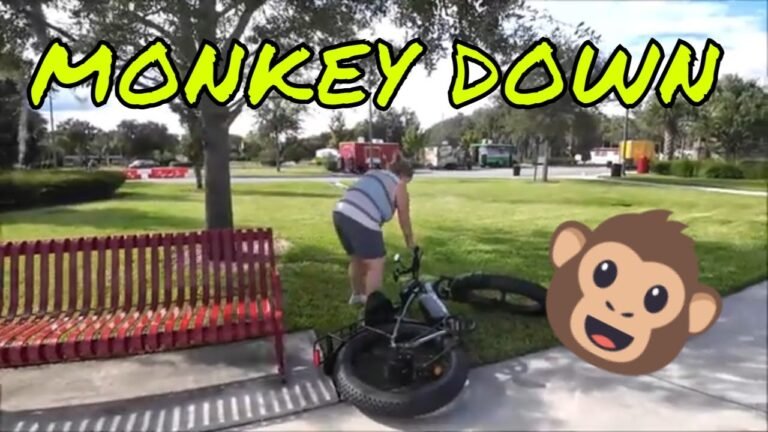 Road trip Gastronomic