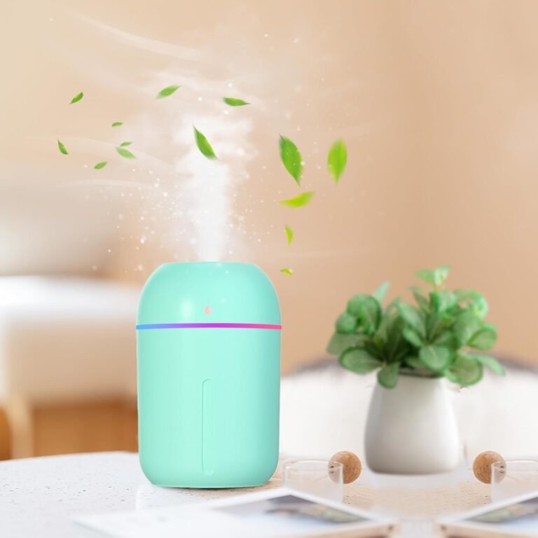 Portable humidifier