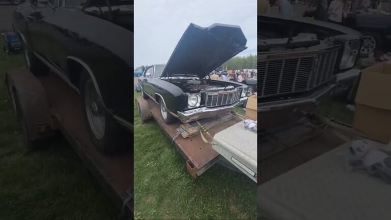 Discover Monte Carlo