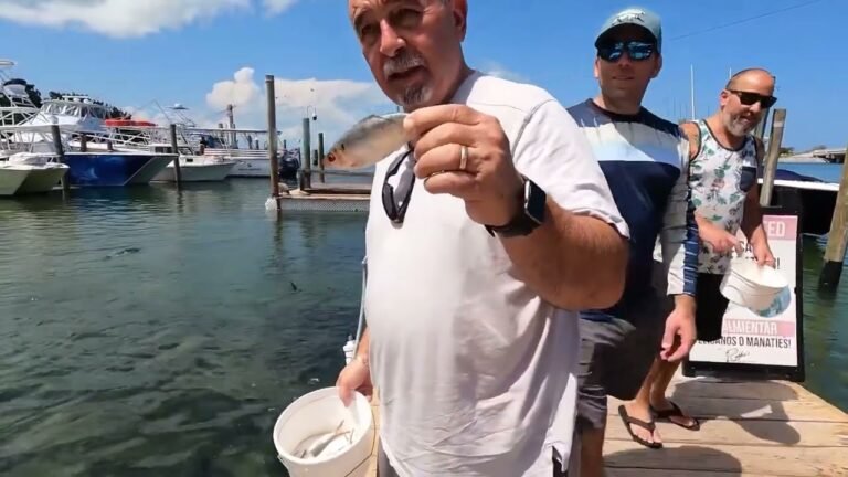 Island travel: Wildlife Encounters.