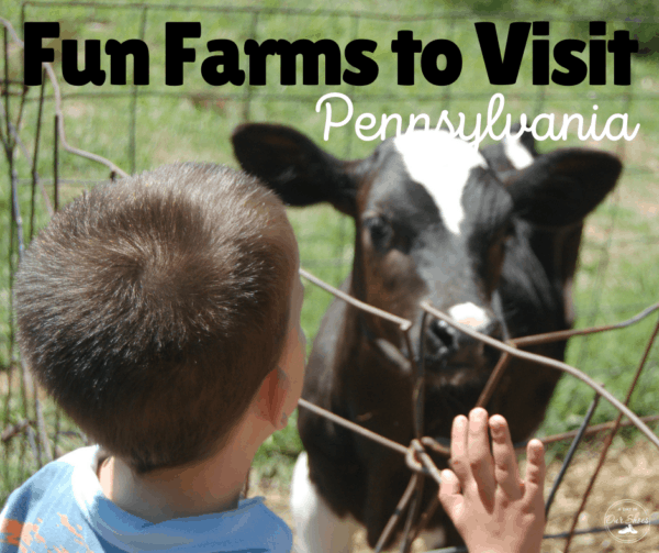 Your Kids Must Visit These Fun Farms—All Within an Hour of Philadelphia