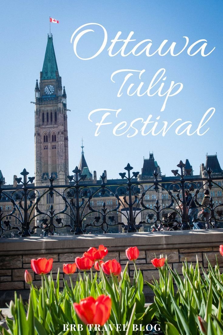 Your guide to the Ottawa tulip festival — BRB Travel Blog