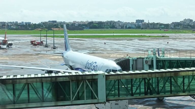 Airplane travel: Flight Status