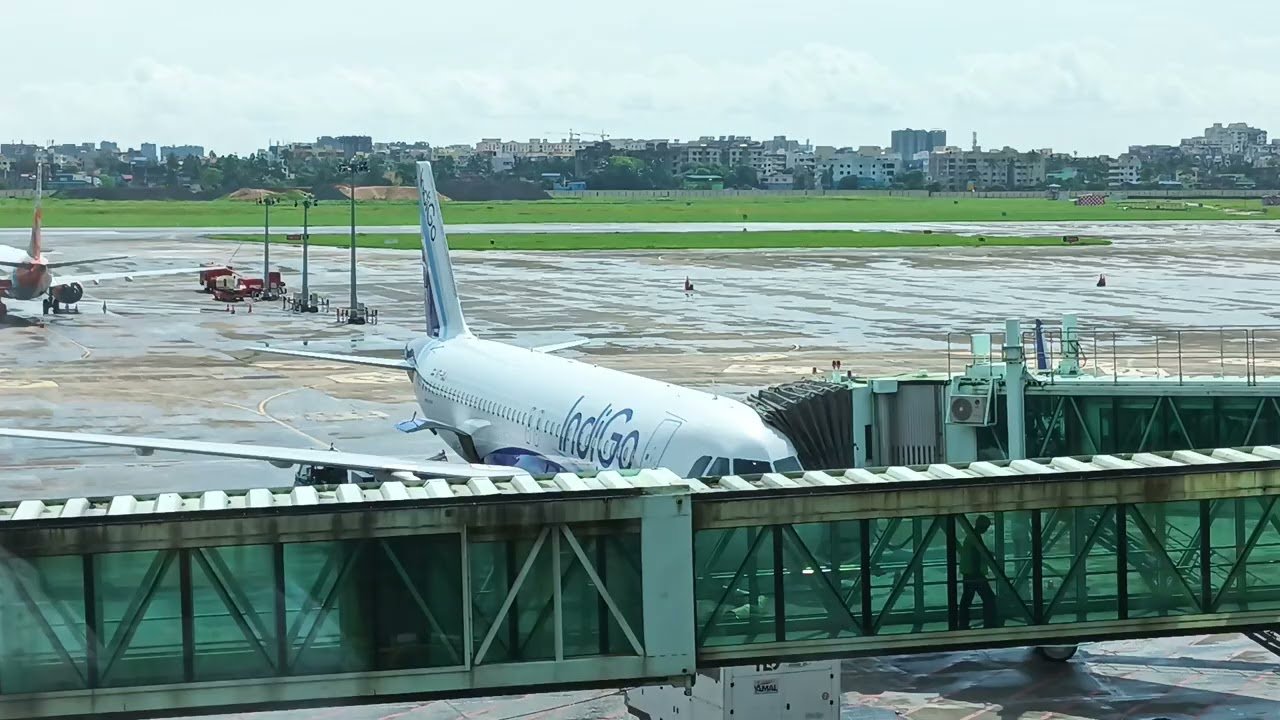 Airplane travel: Flight Status