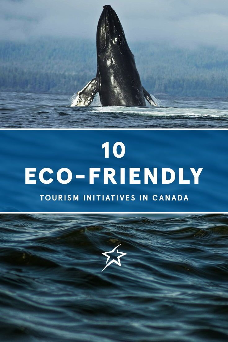 10 eco-friendly tourism initiatives in Canada | Experience Transat
