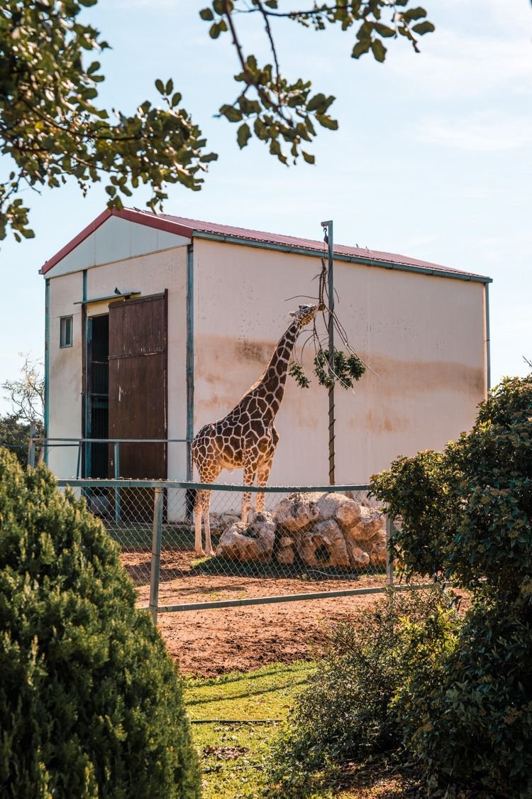 15+ Exciting Things to Do in Cyprus with Kids - The Complete Guide | Viva La Vita