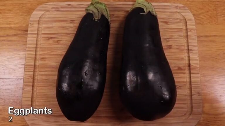 Italian Food Eggplant Parmesan