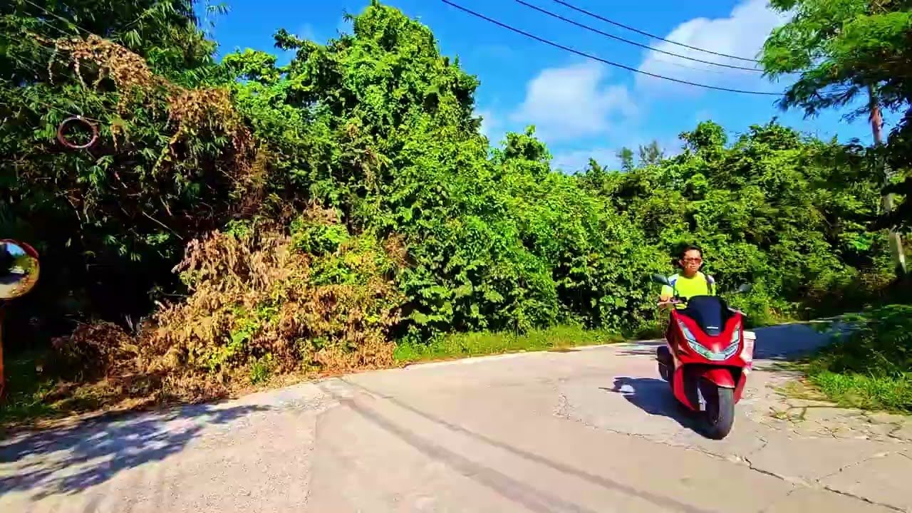 Island travel: Island Cruises