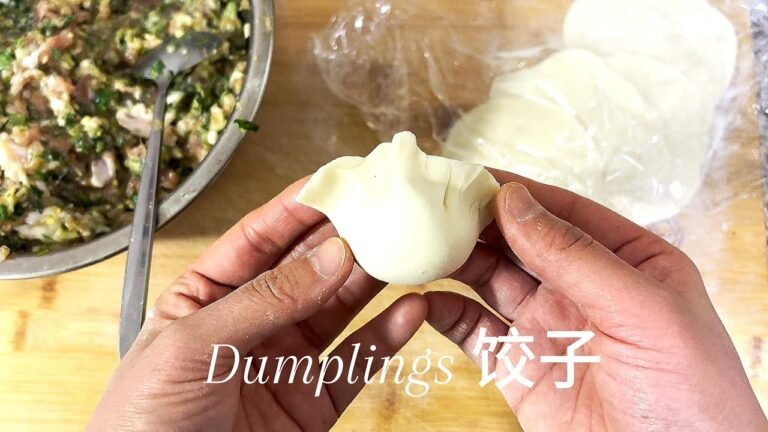 Chinese Food Dumplings
