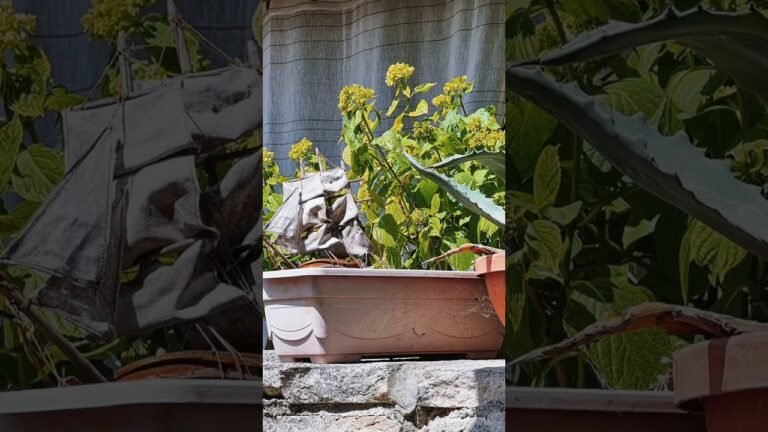 Road trip restaurant recommendations