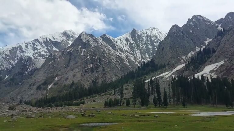 travel Guided Nature Walks