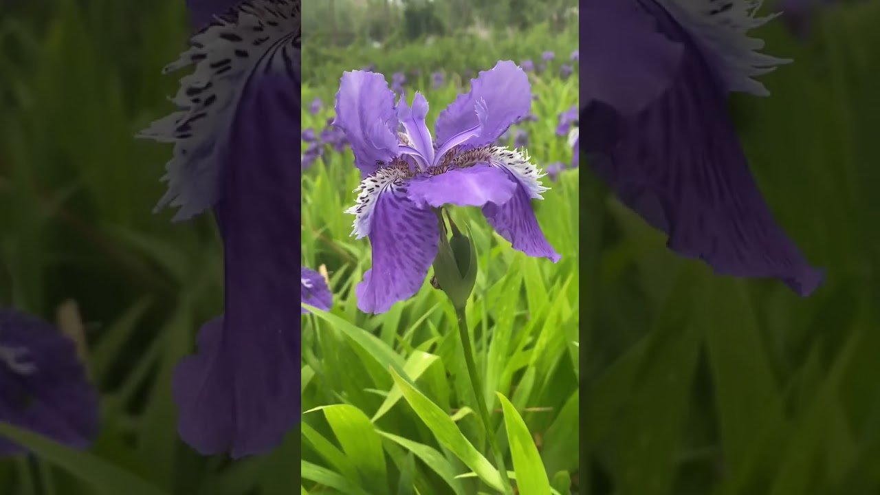 Romantic Getaway: Romantic Getaways